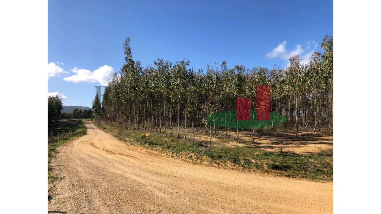 Terreno para Venda em Alcoentre Foto 4