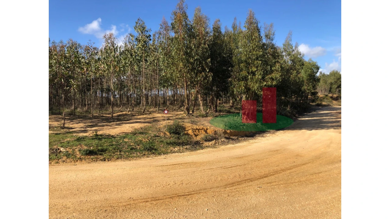 Terreno para Venda em Alcoentre Foto 3