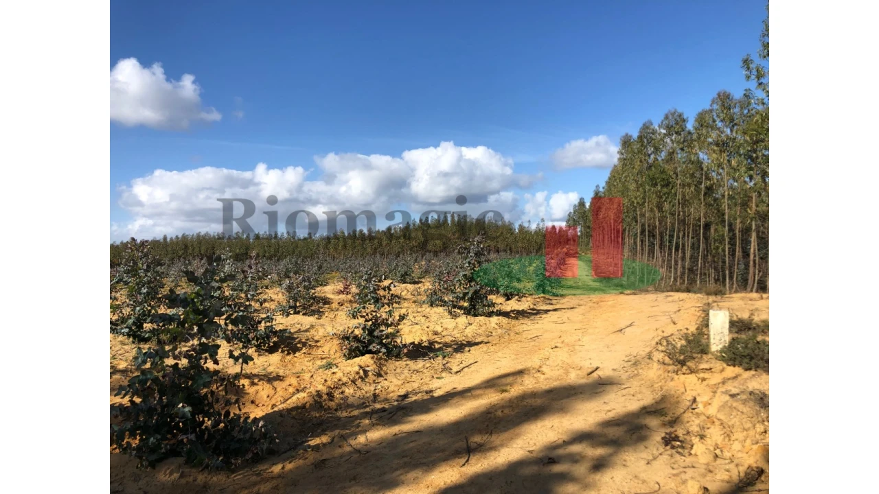 Terreno para Venda em Alcoentre Foto 2
