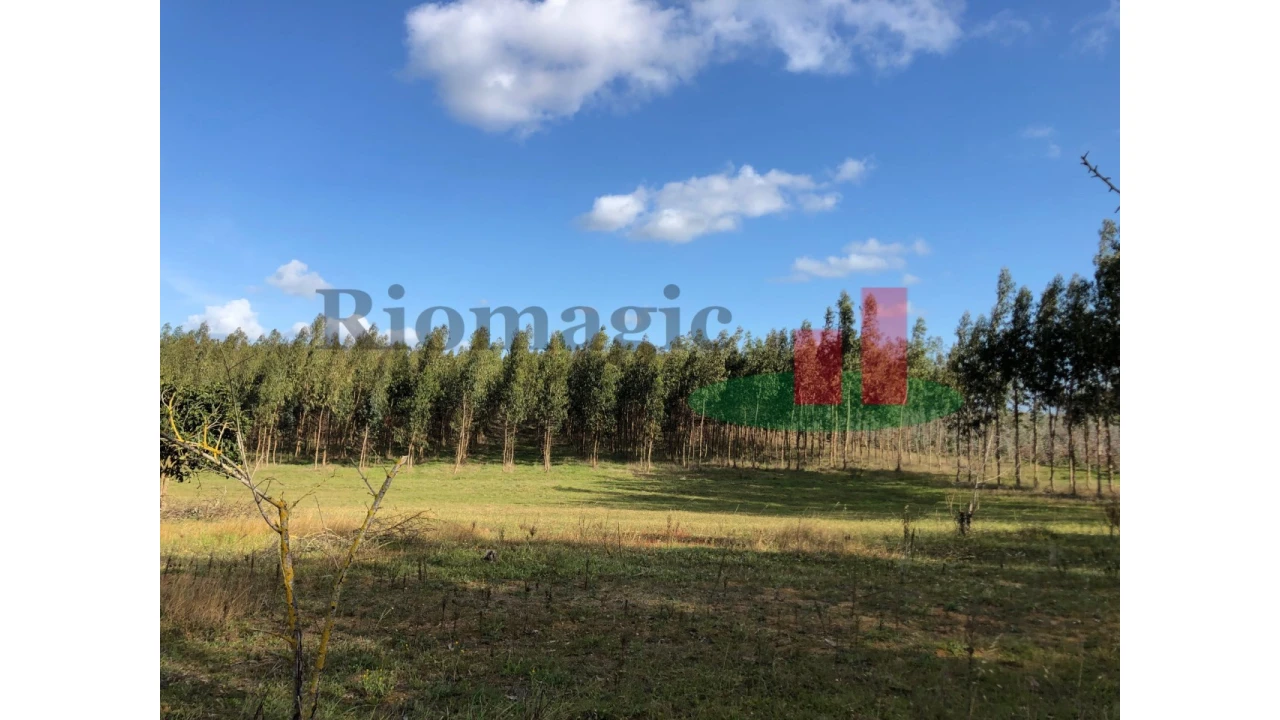 Terreno para Venda em Alcoentre Foto 8