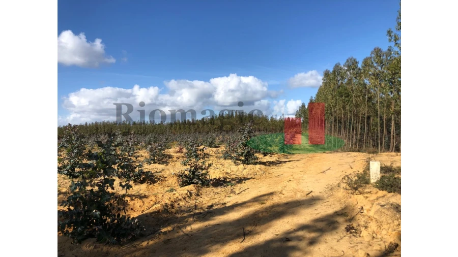 Terreno para Venda em Alcoentre Foto 2