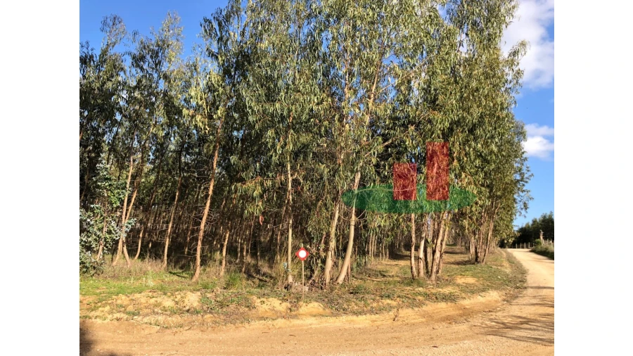 Terreno para Venda em Alcoentre Foto 7