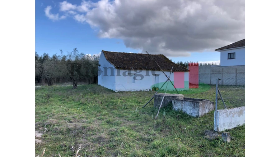 Terreno para Venda em Alcoentre