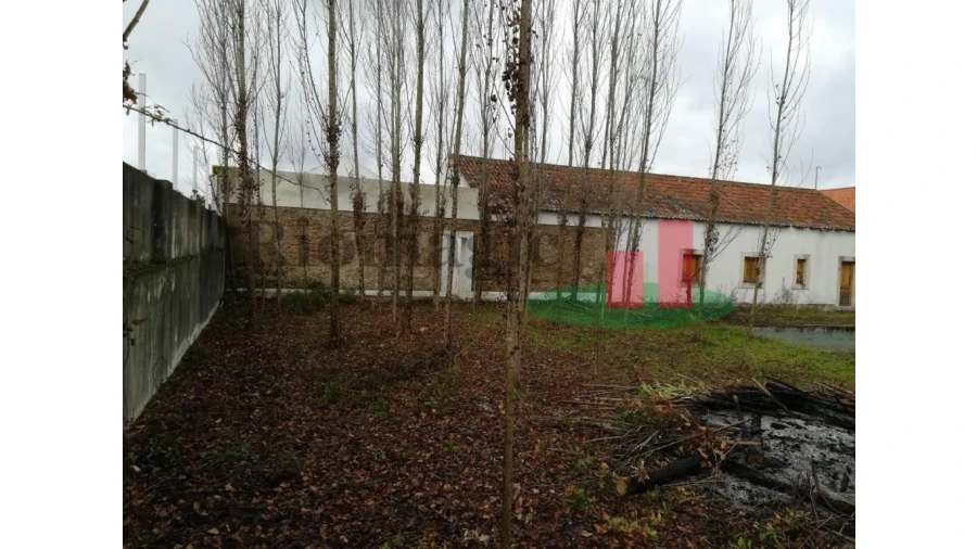 Moradia T6 para Venda em Santa Margarida da Coutada Foto 3