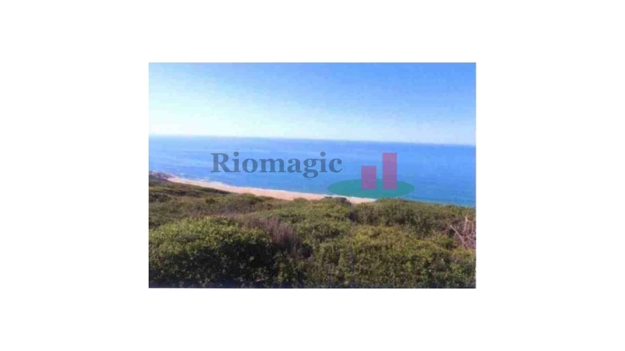 Terreno para Venda em São Martinho do Porto Foto 1