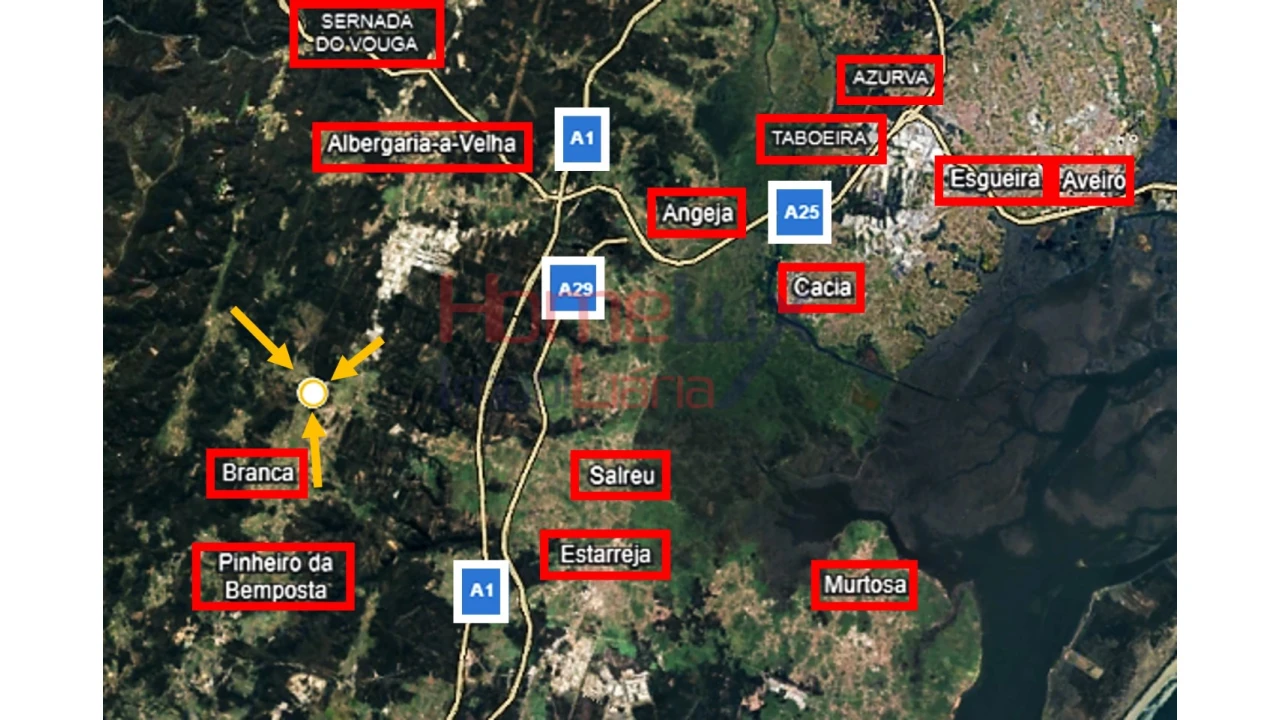 Terreno para Venda em Branca Foto 6