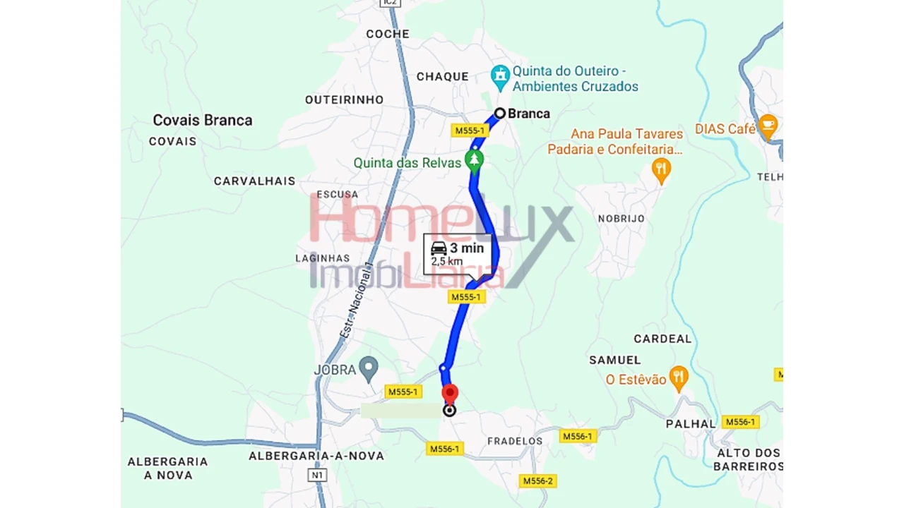 Terreno para Venda em Branca Foto 7