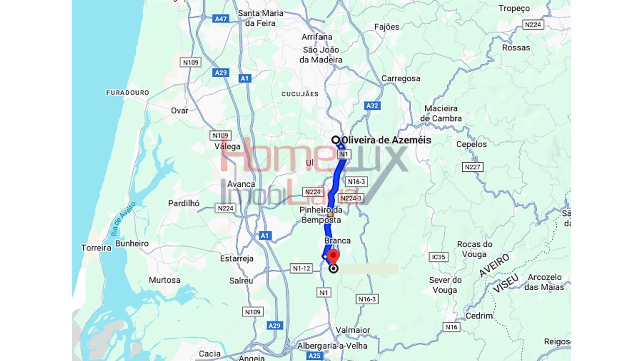 Terreno para Venda em Branca Foto 9