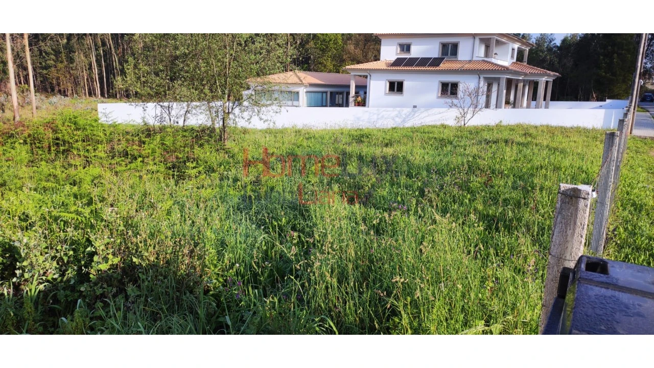 Terreno para Venda em Branca Foto 13