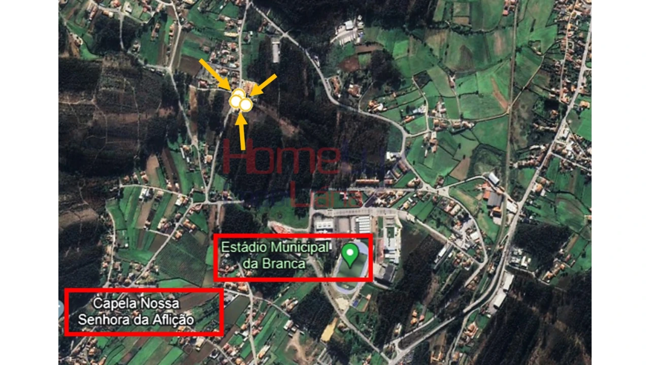 Terreno para Venda em Branca Foto 19