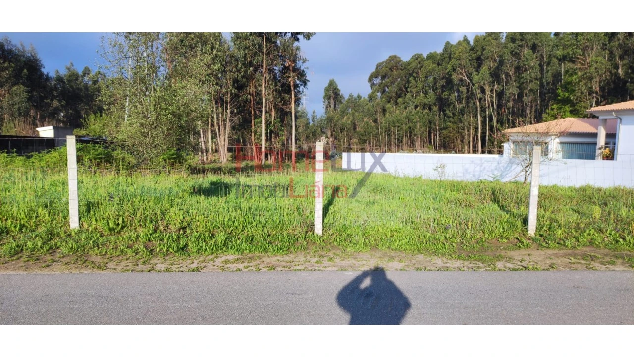 Terreno para Venda em Branca Foto 24