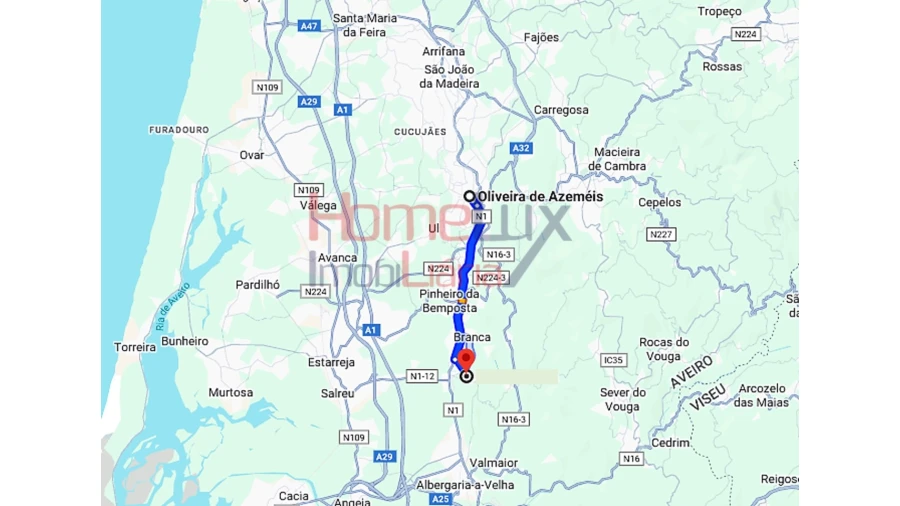 Terreno para Venda em Branca Foto 9