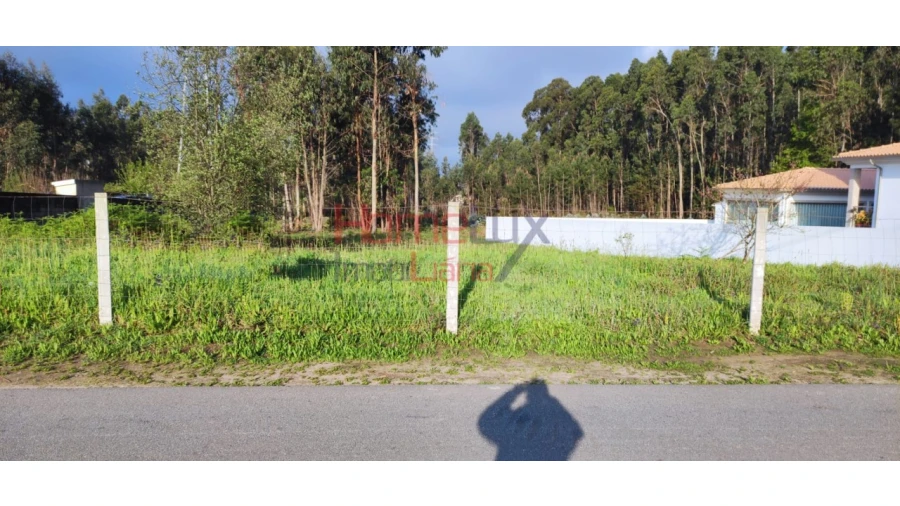 Terreno para Venda em Branca Foto 10