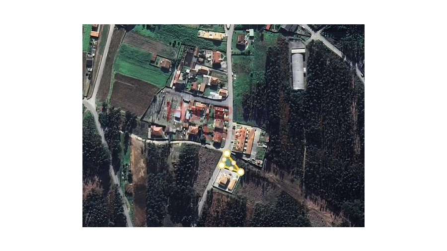 Terreno para Venda em Branca Foto 17