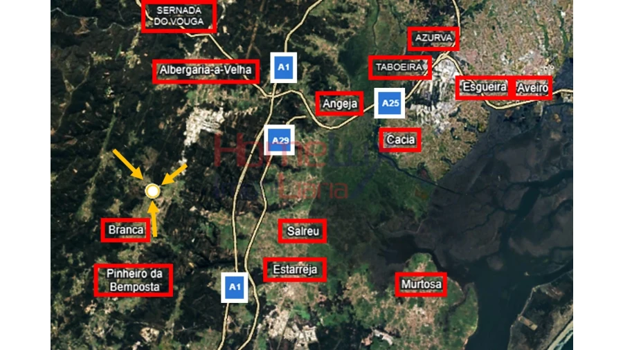 Terreno para Venda em Branca Foto 20