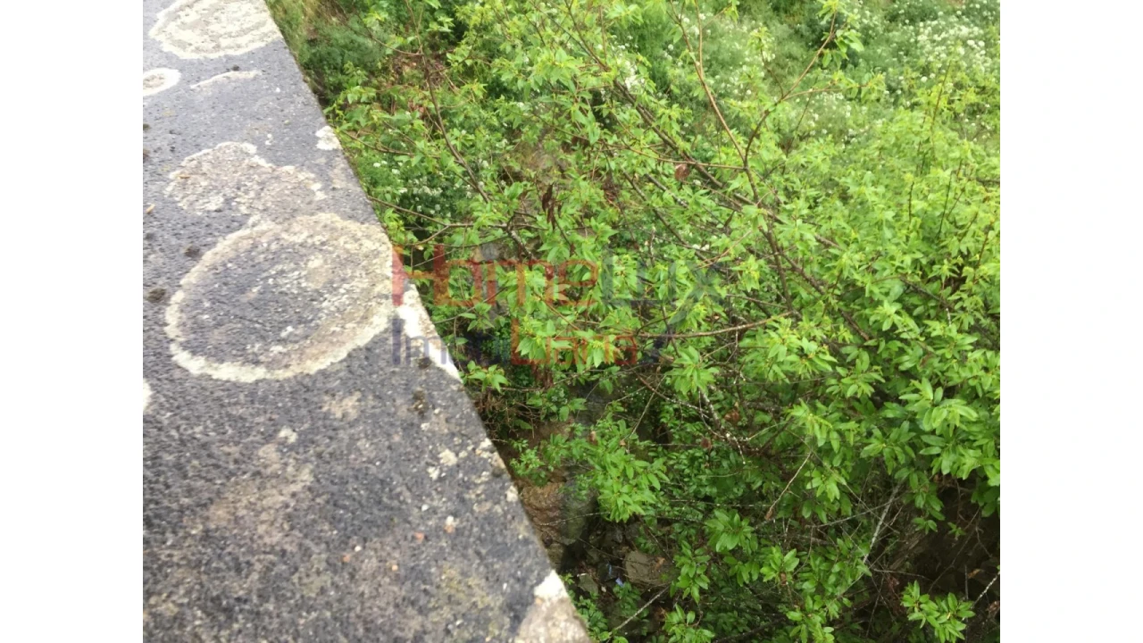 Terreno para Venda em Pinheiro da Bemposta, Travanca e Palmaz Foto 3