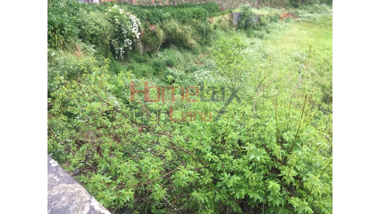 Terreno para Venda em Pinheiro da Bemposta, Travanca e Palmaz Foto 4