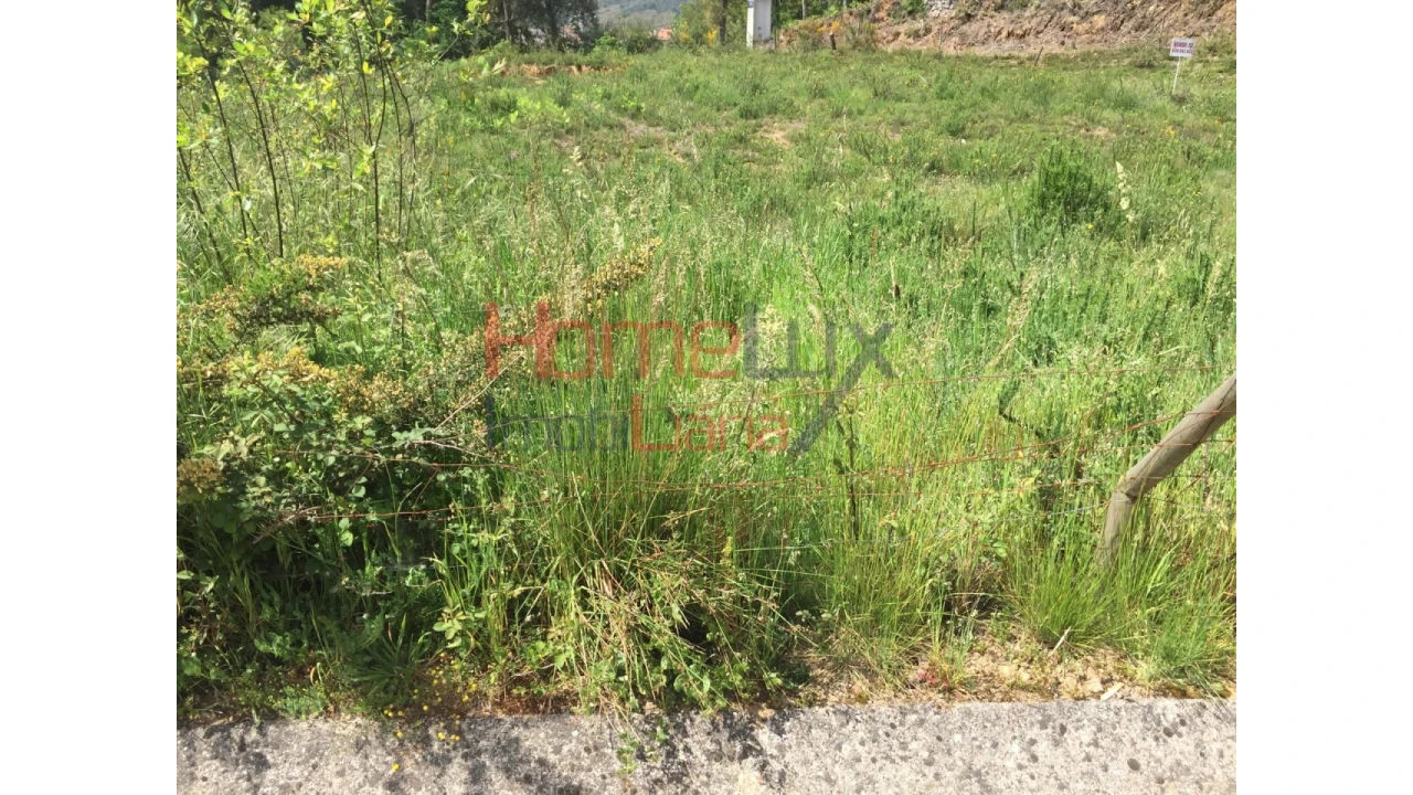 Terreno para Venda em Pinheiro da Bemposta, Travanca e Palmaz Foto 6