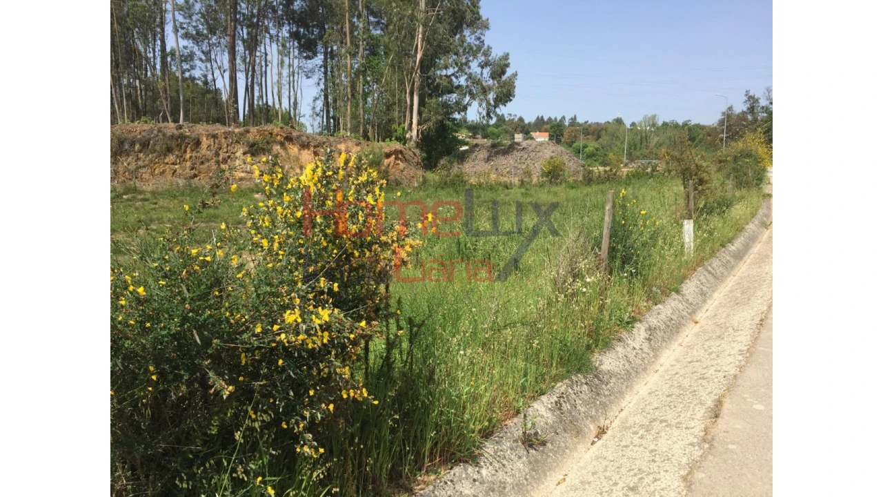 Terreno para Venda em Pinheiro da Bemposta, Travanca e Palmaz Foto 7