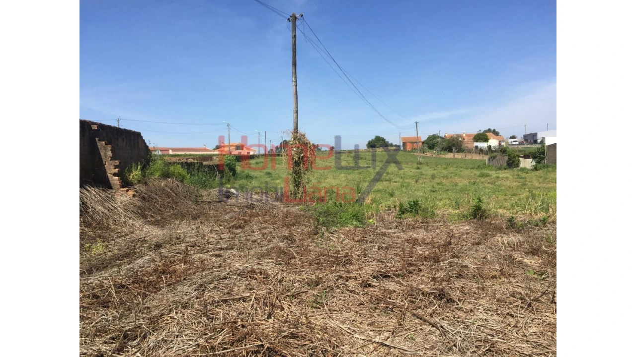 Terreno para Venda em Pinheiro da Bemposta, Travanca e Palmaz Foto 10