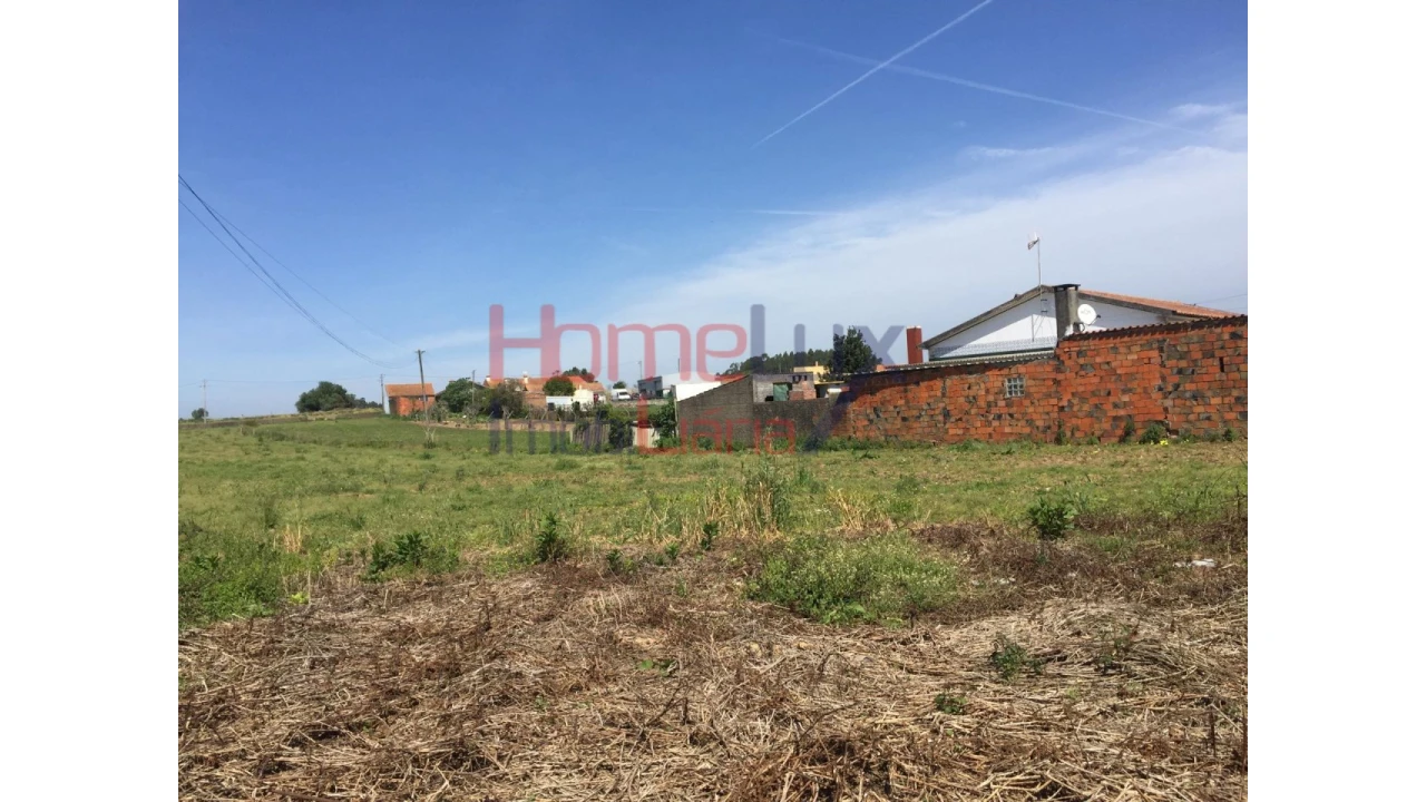 Terreno para Venda em Pinheiro da Bemposta, Travanca e Palmaz Foto 11