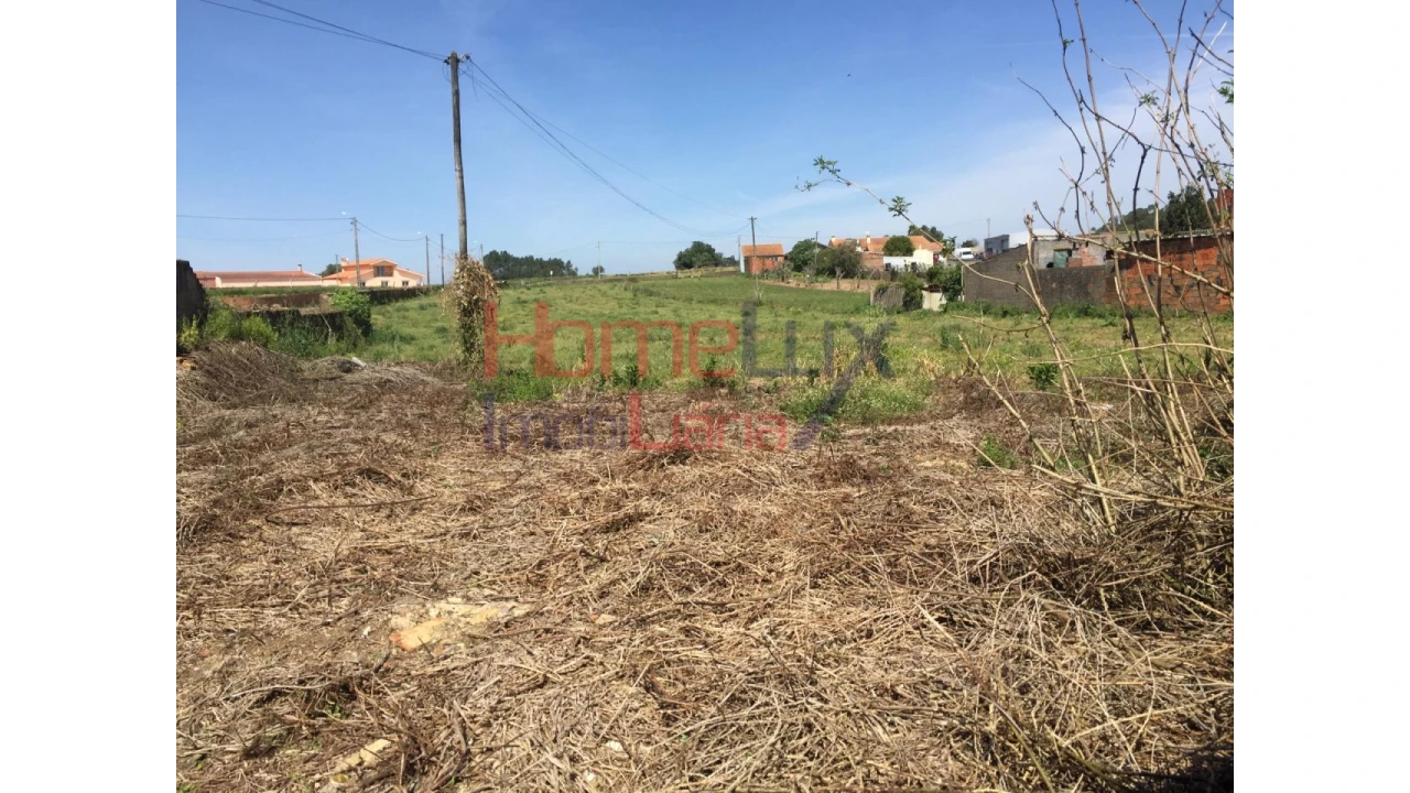Terreno para Venda em Pinheiro da Bemposta, Travanca e Palmaz Foto 12