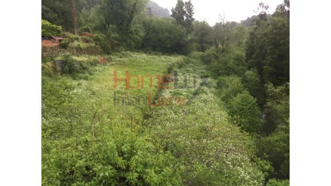 Terreno para Venda em Pinheiro da Bemposta, Travanca e Palmaz