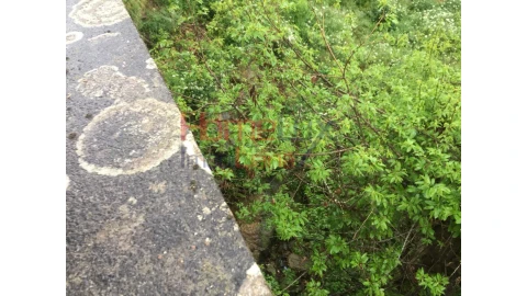 Terreno para Venda em Pinheiro da Bemposta, Travanca e Palmaz