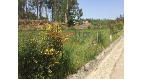 Terreno para Venda em Pinheiro da Bemposta, Travanca e Palmaz