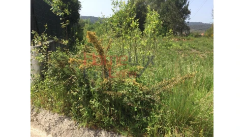 Terreno para Venda em Pinheiro da Bemposta, Travanca e Palmaz