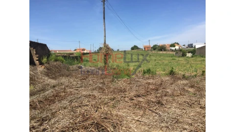 Terreno para Venda em Pinheiro da Bemposta, Travanca e Palmaz