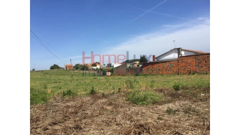 Terreno para Venda em Pinheiro da Bemposta, Travanca e Palmaz