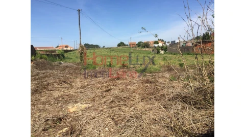 Terreno para Venda em Pinheiro da Bemposta, Travanca e Palmaz