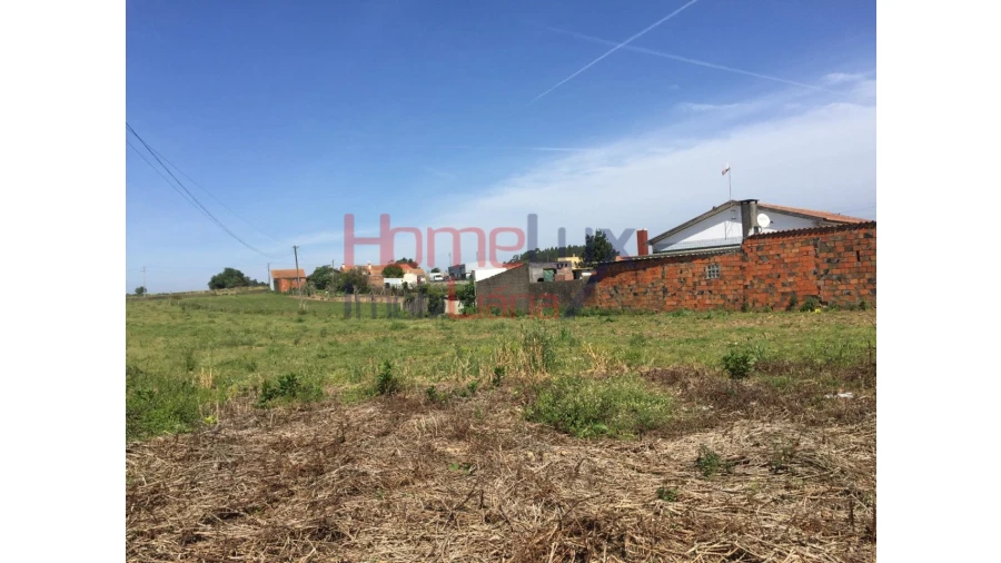 Terreno para Venda em Pinheiro da Bemposta, Travanca e Palmaz Foto 11