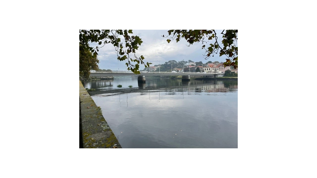 Prédio para Venda em Vila do Conde Foto 6