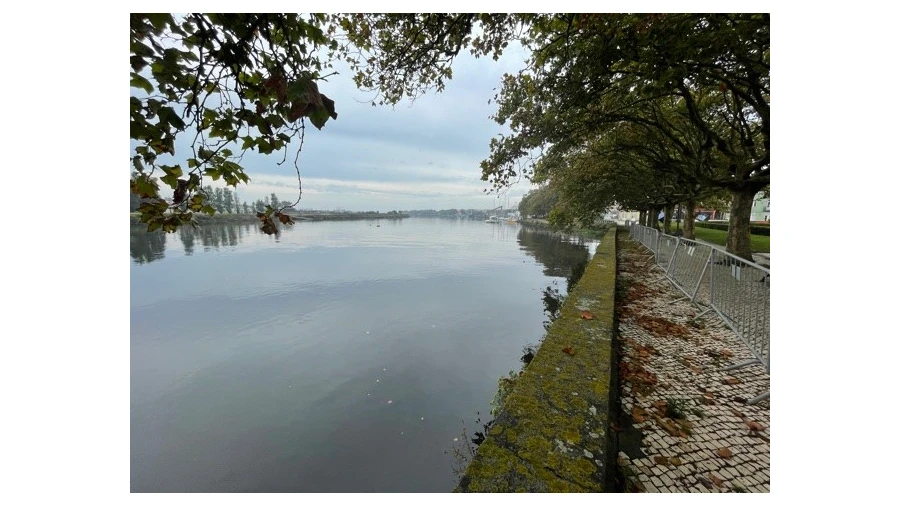 Negócio para Venda em Vila do Conde Foto 5