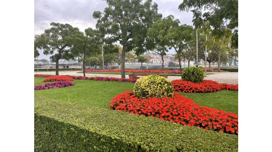 Negócio para Venda em Vila do Conde Foto 16