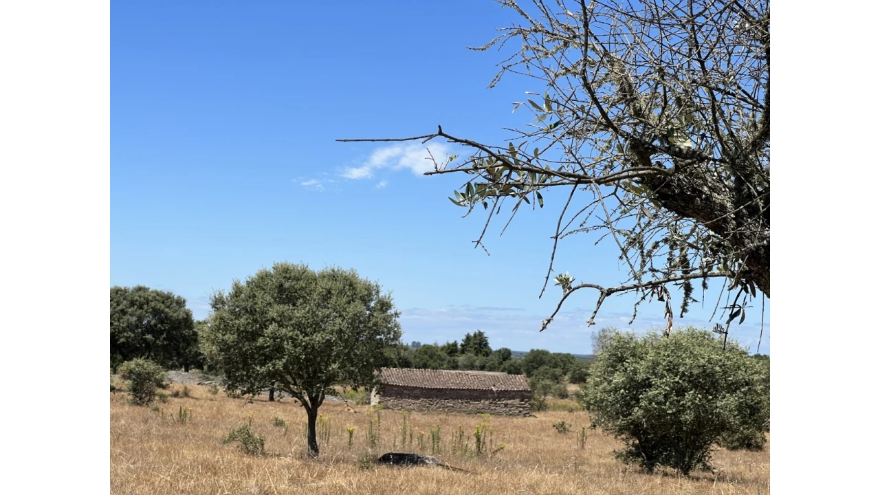 Quinta para Venda em Espírito Santo, Nossa Senhora da Graça e São Simão Foto 4