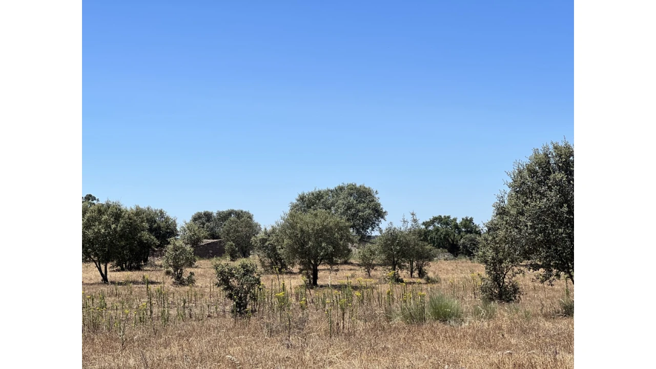 Quinta para Venda em Espírito Santo, Nossa Senhora da Graça e São Simão Foto 8