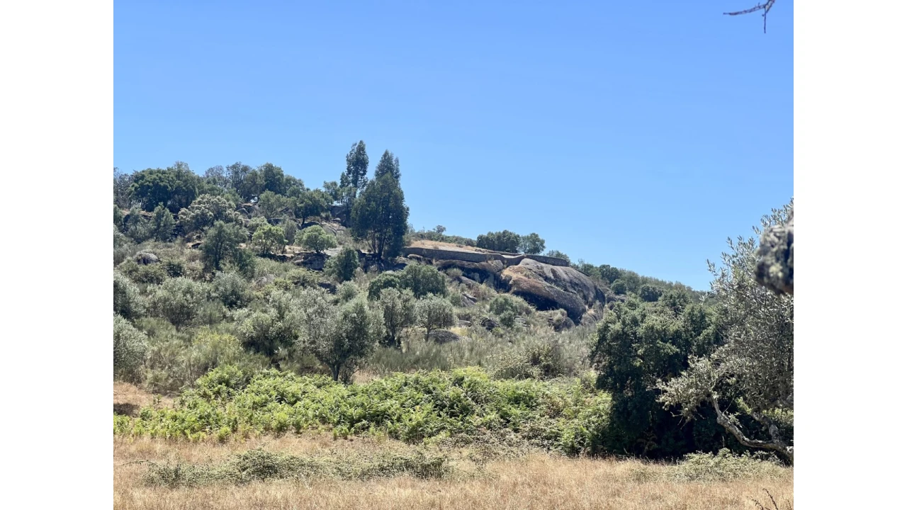 Quinta para Venda em Espírito Santo, Nossa Senhora da Graça e São Simão Foto 7