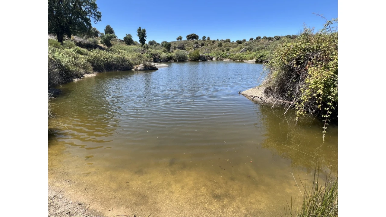 Quinta para Venda em Espírito Santo, Nossa Senhora da Graça e São Simão Foto 3
