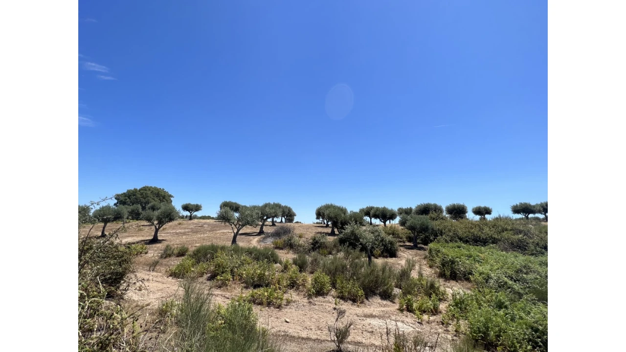 Quinta para Venda em Espírito Santo, Nossa Senhora da Graça e São Simão Foto 12