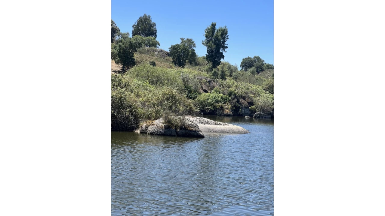 Quinta para Venda em Espírito Santo, Nossa Senhora da Graça e São Simão Foto 13
