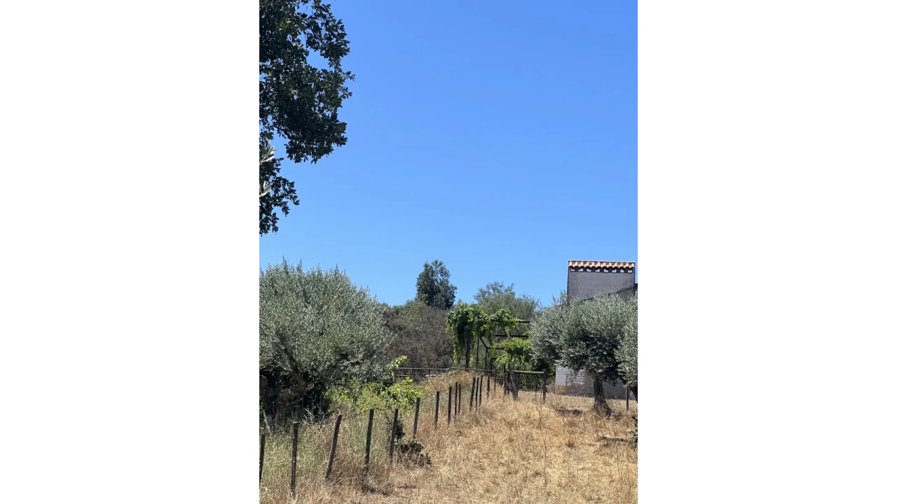 Quinta para Venda em Espírito Santo, Nossa Senhora da Graça e São Simão Foto 15