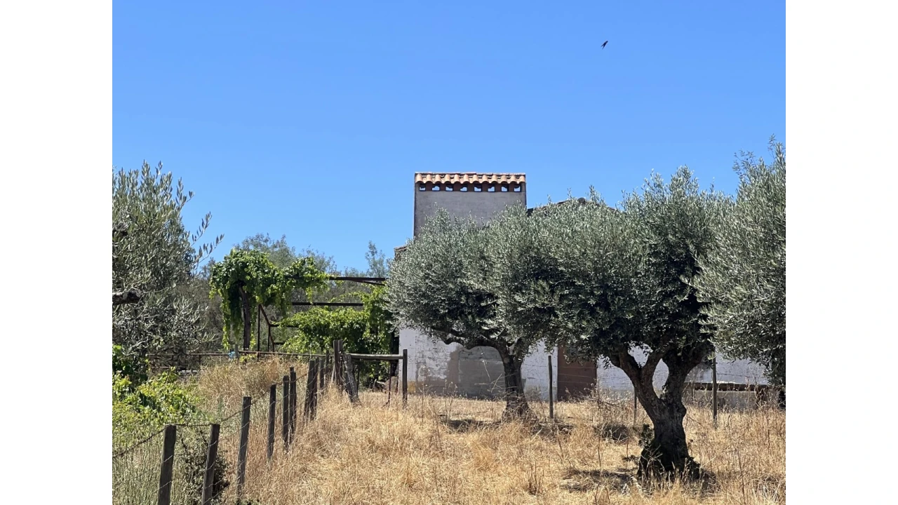Quinta para Venda em Espírito Santo, Nossa Senhora da Graça e São Simão Foto 5