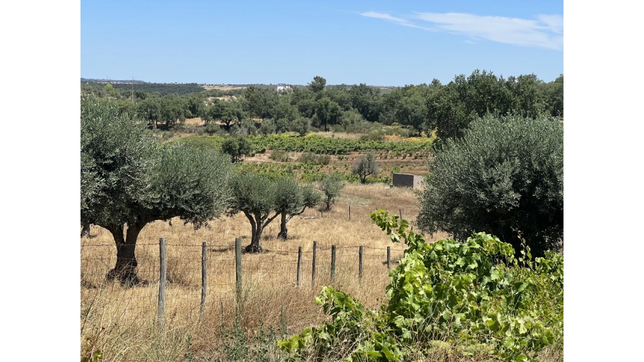 Quinta para Venda em Espírito Santo, Nossa Senhora da Graça e São Simão Foto 1