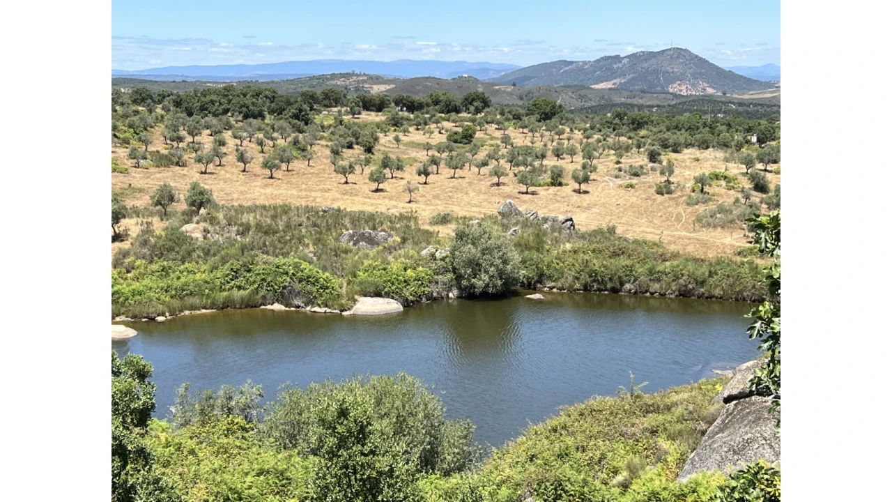 Quinta para Venda em Espírito Santo, Nossa Senhora da Graça e São Simão Foto 2