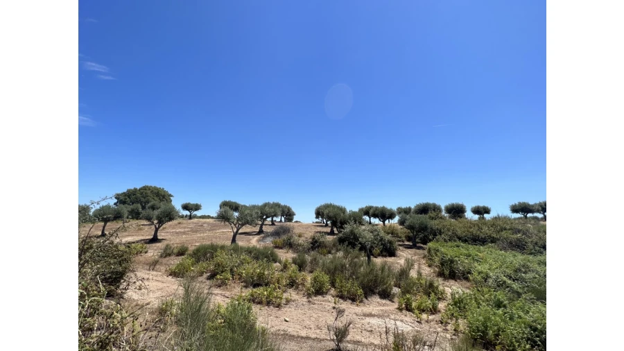 Quinta para Venda em Espírito Santo, Nossa Senhora da Graça e São Simão Foto 12