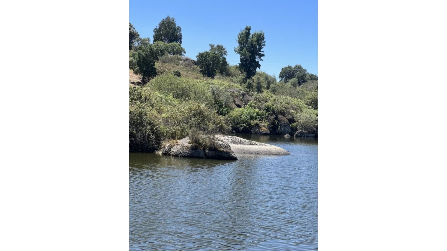 Quinta para Venda em Espírito Santo, Nossa Senhora da Graça e São Simão Foto 13