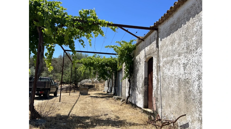 Quinta para Venda em Espírito Santo, Nossa Senhora da Graça e São Simão Foto 17